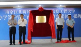 江北区王先生爆料新闻最新消息,最新民生事件引发社会关注