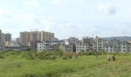 德庆县爆料新闻最新消息,突发事件引发广泛关注！