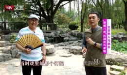 马德华最新动态爆料,揭秘娱乐圈幕后真相