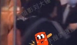 刘大锤最新爆料说的谁,神秘人物身份大起底！”