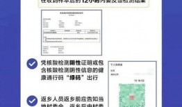 核酸检测最新爆料,揭秘最新爆料背后的科学真相