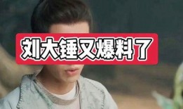 刘大锤最新爆料说的谁,神秘人物身份大起底！”