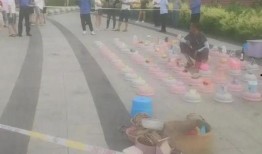 长春双阳区最新爆料,揭秘神秘事件背后的真相