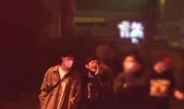 最新爆料蛇叔视频大全,揭秘幕后真相与惊人内幕